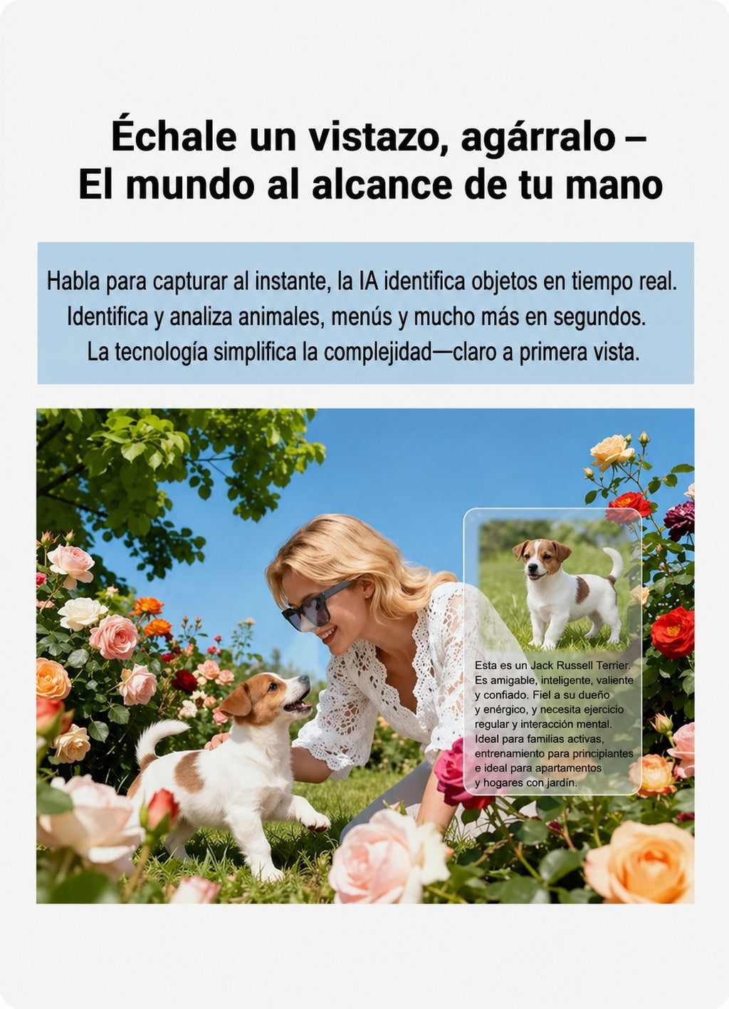 Gafas inteligentes con Cámara HD, Bluetooth  y AI